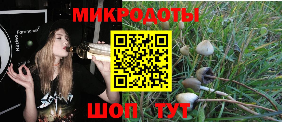 Галлюциногенные грибы Cubensis Новоуральск