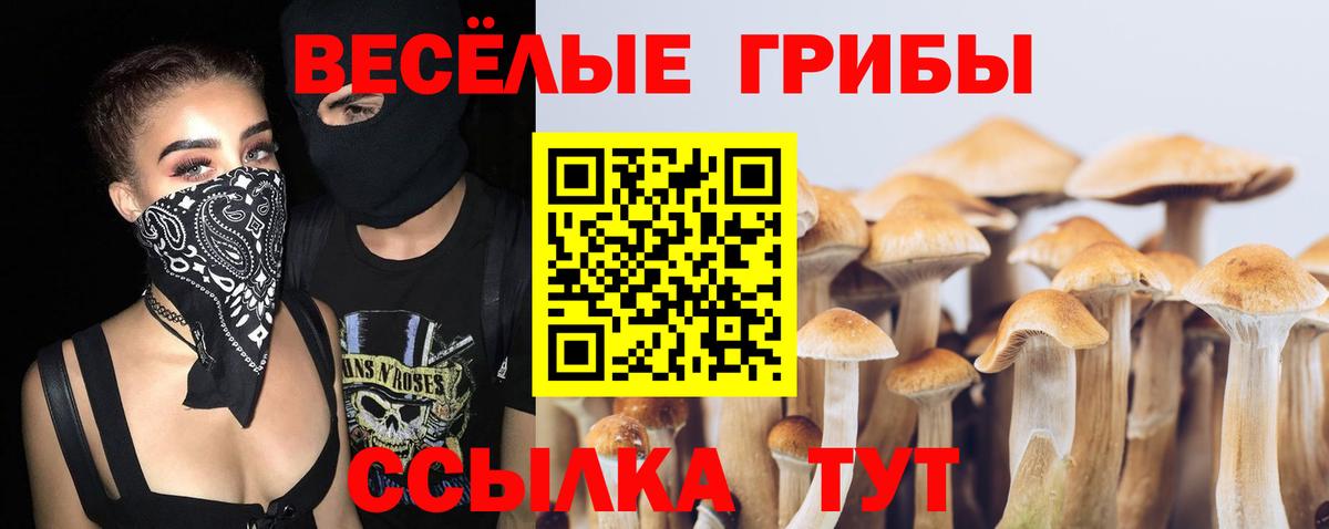 Псилоцибиновые грибы мухоморы  Вход с VPN  Новоуральск 